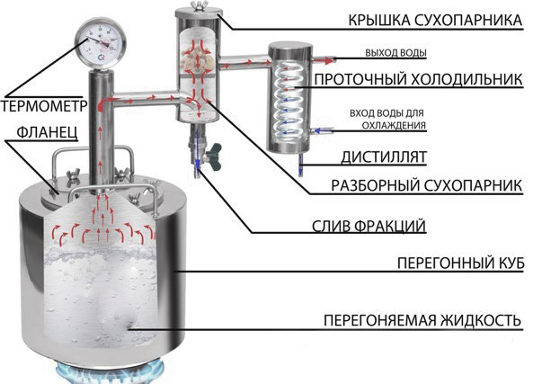 схема феникс народный